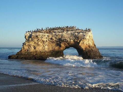 Natural Bridges State Beach, Santa Cruz, California