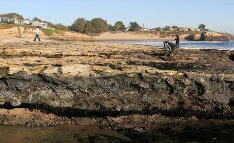 Tide pools at low tide, Natural Bridges State Park, Santa Cruz, California